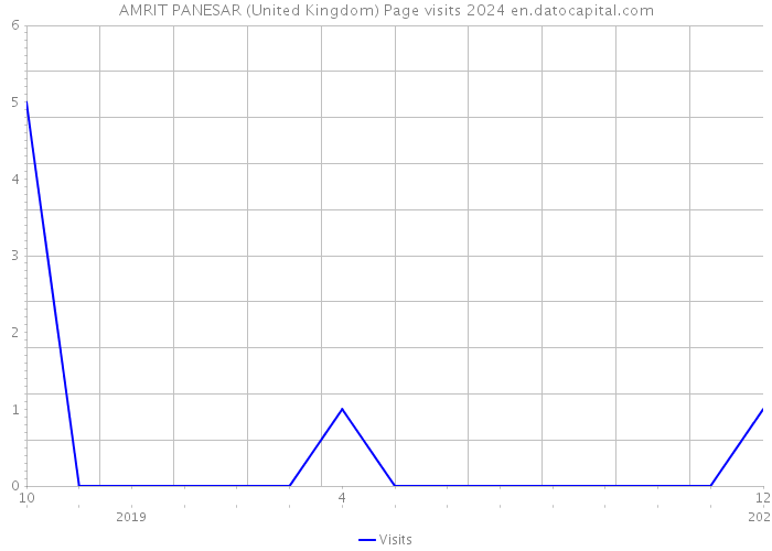 AMRIT PANESAR (United Kingdom) Page visits 2024 