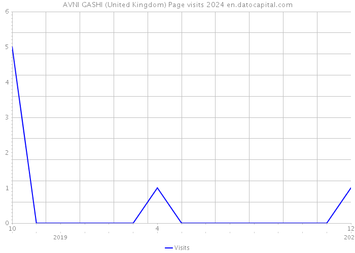 AVNI GASHI (United Kingdom) Page visits 2024 