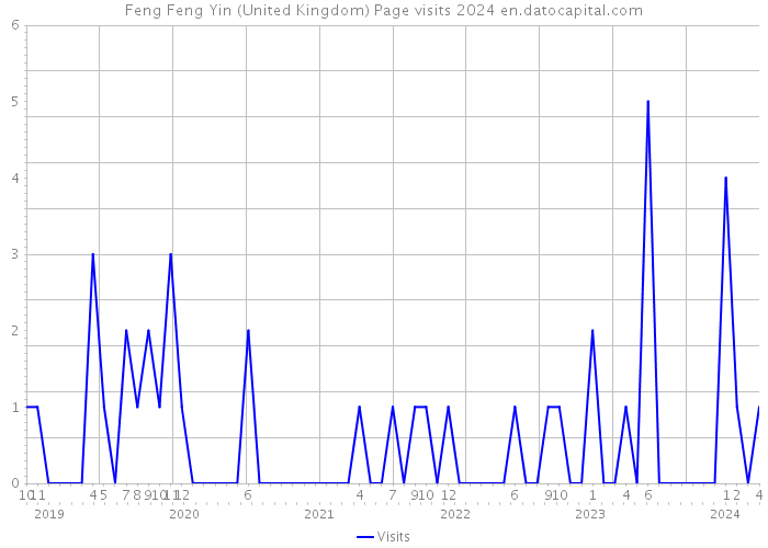 Feng Feng Yin (United Kingdom) Page visits 2024 