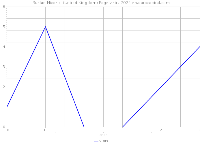 Ruslan Nicorici (United Kingdom) Page visits 2024 