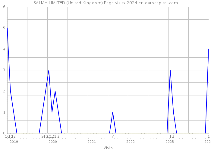 SALMA LIMITED (United Kingdom) Page visits 2024 