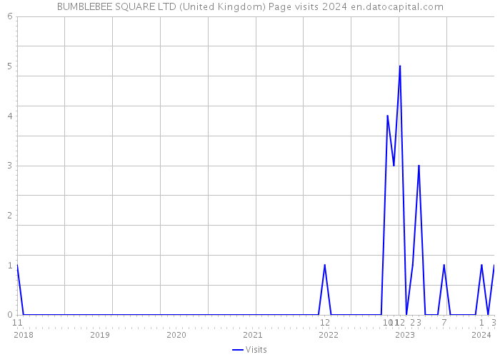 BUMBLEBEE SQUARE LTD (United Kingdom) Page visits 2024 