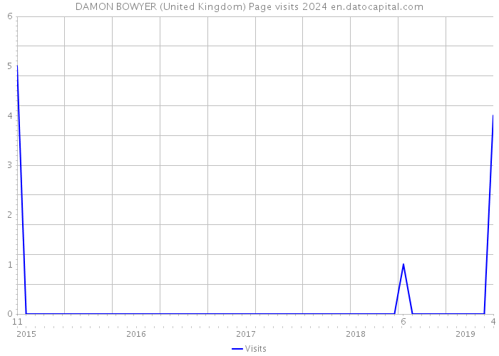 DAMON BOWYER (United Kingdom) Page visits 2024 