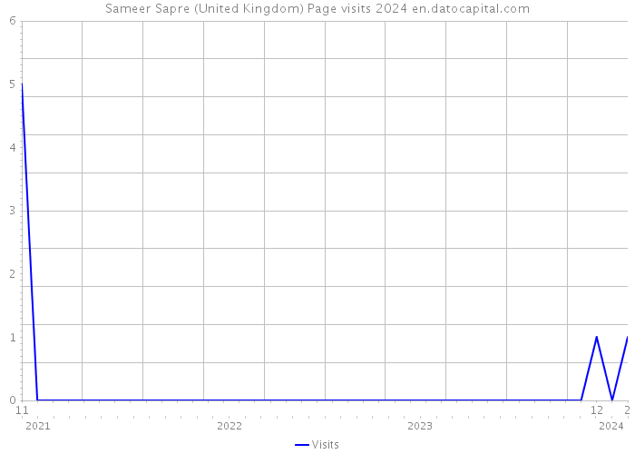 Sameer Sapre (United Kingdom) Page visits 2024 