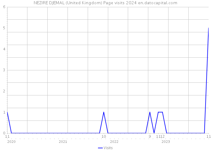 NEZIRE DJEMAL (United Kingdom) Page visits 2024 