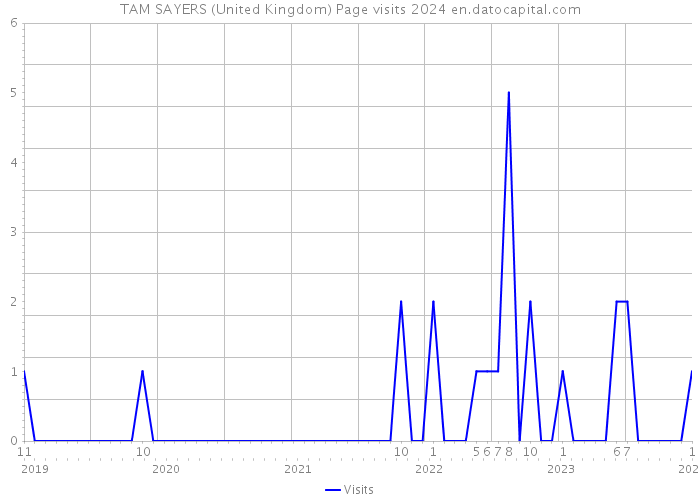 TAM SAYERS (United Kingdom) Page visits 2024 