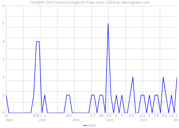 XIUQING CAO (United Kingdom) Page visits 2024 