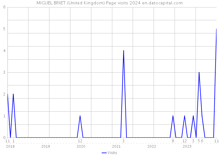 MIGUEL BRIET (United Kingdom) Page visits 2024 