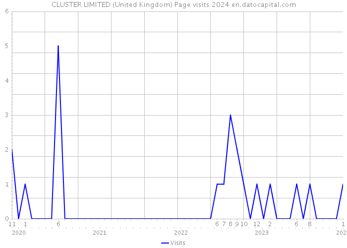 CLUSTER LIMITED (United Kingdom) Page visits 2024 