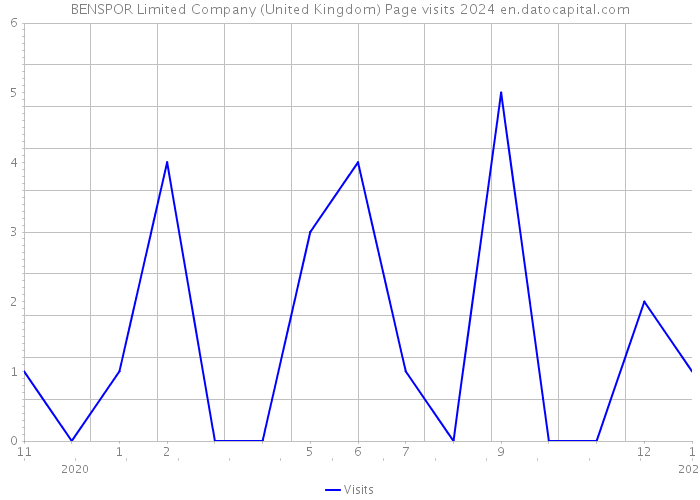 BENSPOR Limited Company (United Kingdom) Page visits 2024 