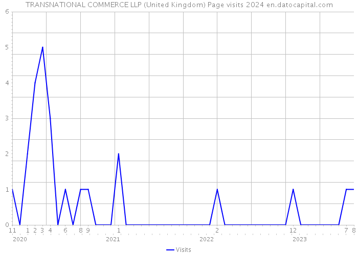 TRANSNATIONAL COMMERCE LLP (United Kingdom) Page visits 2024 