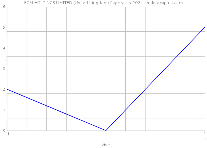 BGM HOLDINGS LIMITED (United Kingdom) Page visits 2024 