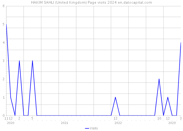 HAKIM SAHLI (United Kingdom) Page visits 2024 