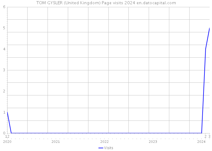 TOM GYSLER (United Kingdom) Page visits 2024 