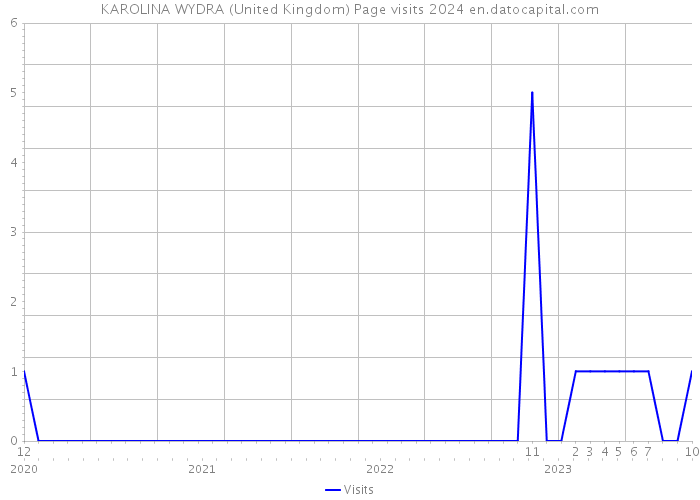 KAROLINA WYDRA (United Kingdom) Page visits 2024 
