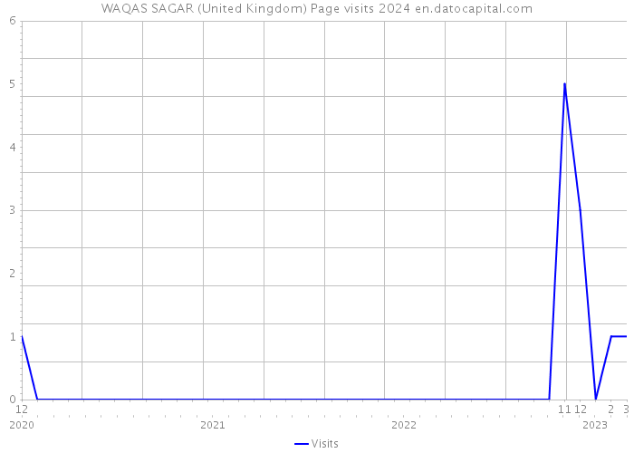 WAQAS SAGAR (United Kingdom) Page visits 2024 