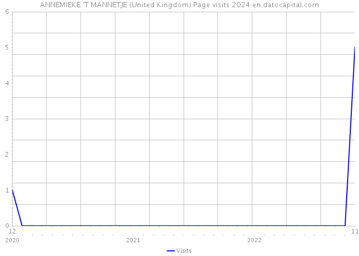 ANNEMIEKE 'T MANNETJE (United Kingdom) Page visits 2024 
