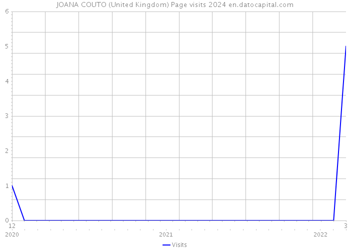 JOANA COUTO (United Kingdom) Page visits 2024 