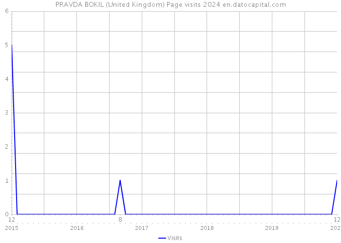 PRAVDA BOKIL (United Kingdom) Page visits 2024 