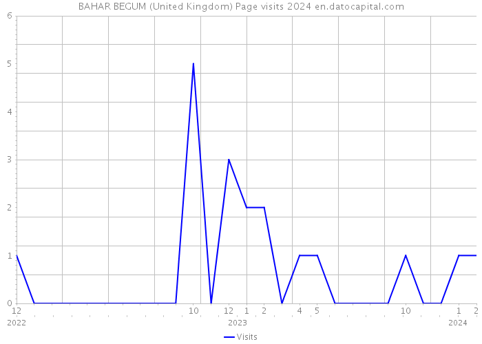 BAHAR BEGUM (United Kingdom) Page visits 2024 