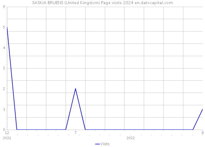 SASKIA BRUENS (United Kingdom) Page visits 2024 