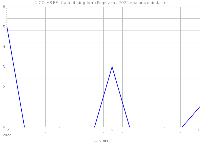 NICOLAS BEL (United Kingdom) Page visits 2024 