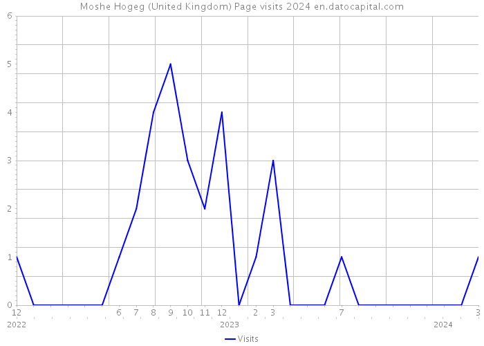 Moshe Hogeg (United Kingdom) Page visits 2024 