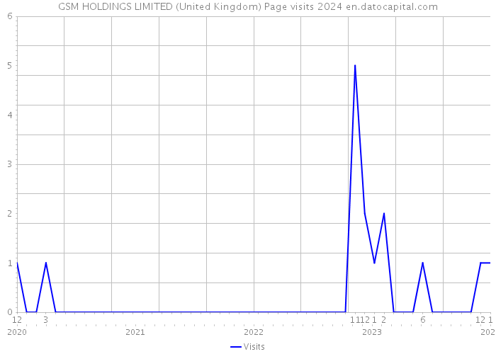 GSM HOLDINGS LIMITED (United Kingdom) Page visits 2024 