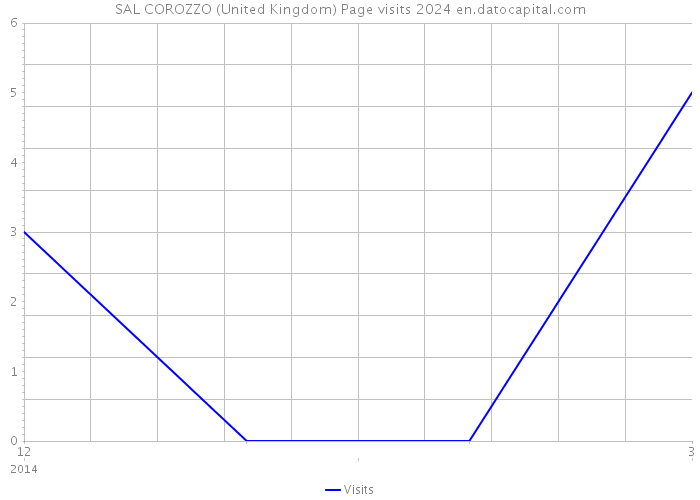 SAL COROZZO (United Kingdom) Page visits 2024 