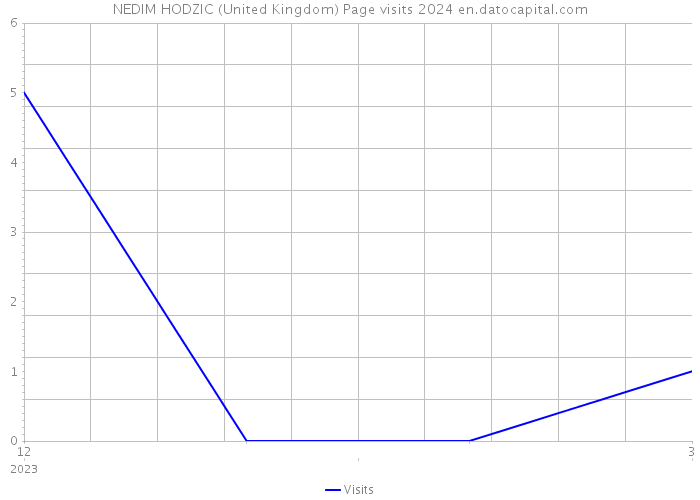 NEDIM HODZIC (United Kingdom) Page visits 2024 