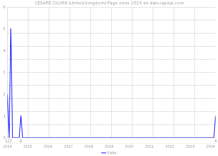 CESARE CILVINI (United Kingdom) Page visits 2024 
