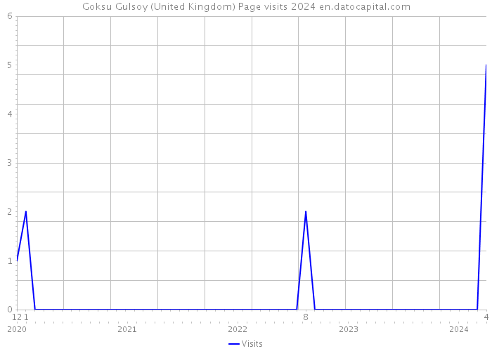Goksu Gulsoy (United Kingdom) Page visits 2024 