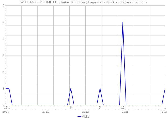 WELLIAN (RIM) LIMITED (United Kingdom) Page visits 2024 