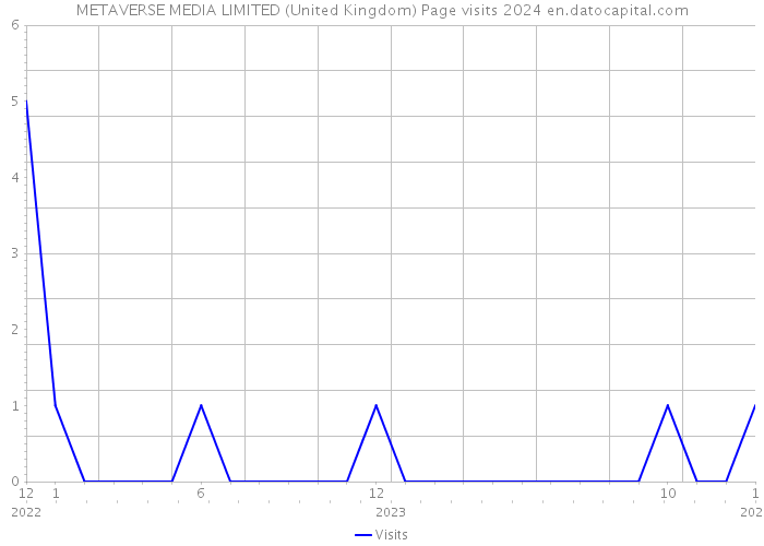 METAVERSE MEDIA LIMITED (United Kingdom) Page visits 2024 