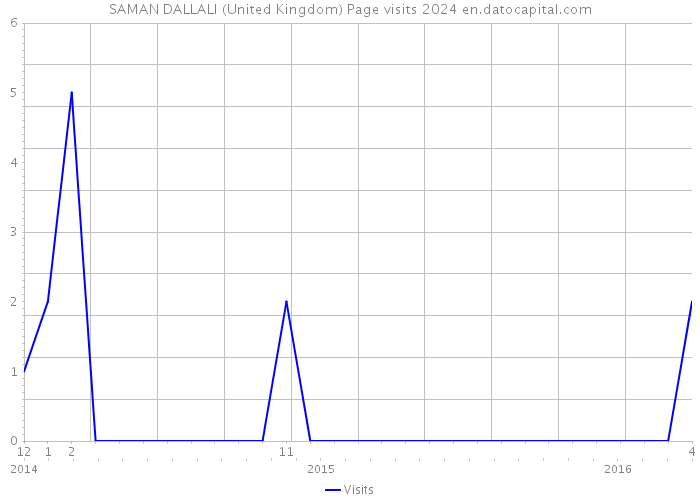SAMAN DALLALI (United Kingdom) Page visits 2024 