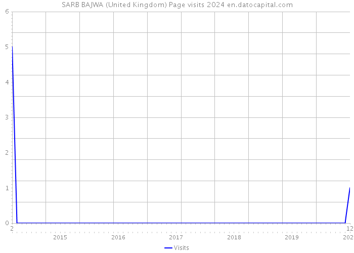 SARB BAJWA (United Kingdom) Page visits 2024 