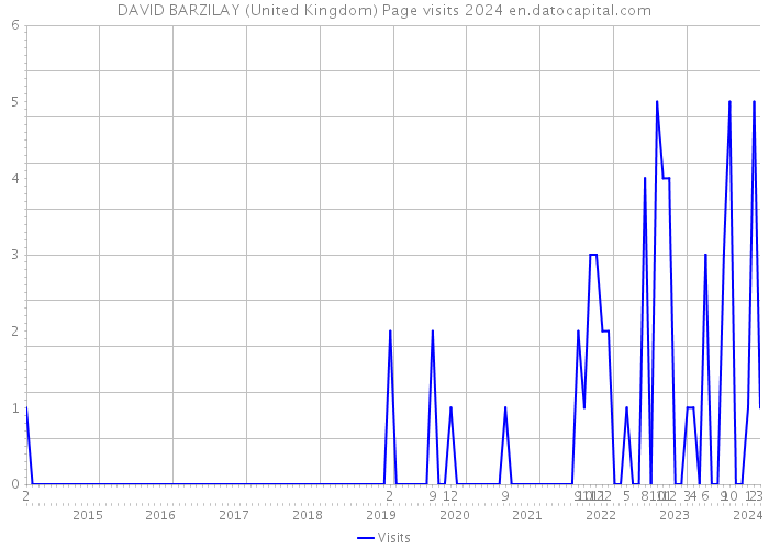 DAVID BARZILAY (United Kingdom) Page visits 2024 