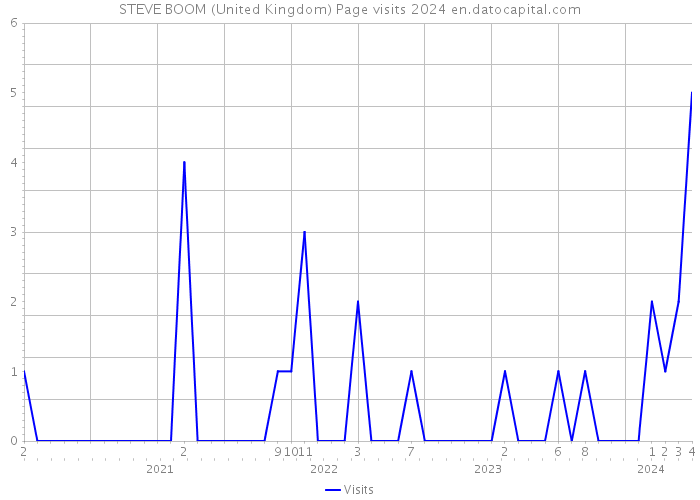 STEVE BOOM (United Kingdom) Page visits 2024 