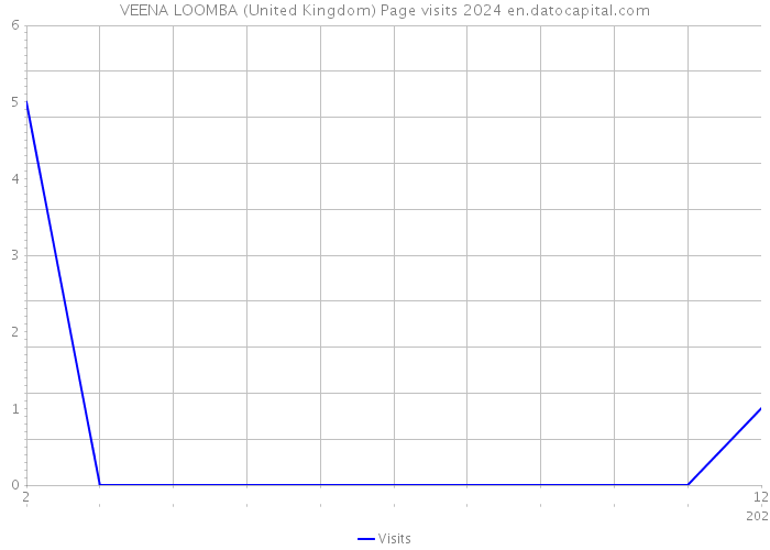 VEENA LOOMBA (United Kingdom) Page visits 2024 