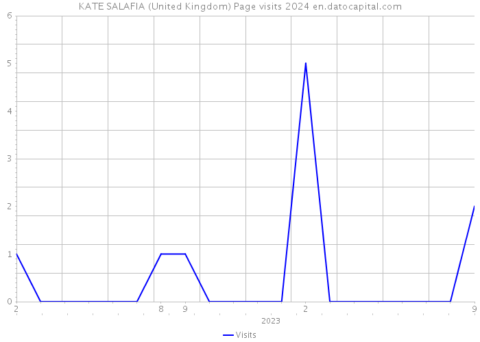 KATE SALAFIA (United Kingdom) Page visits 2024 