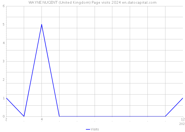 WAYNE NUGENT (United Kingdom) Page visits 2024 