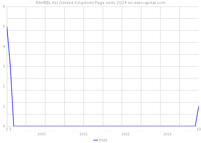 RAHEEL ALI (United Kingdom) Page visits 2024 