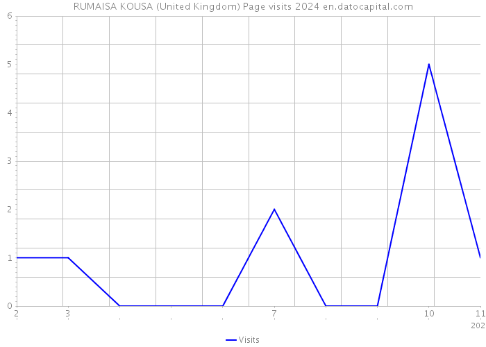 RUMAISA KOUSA (United Kingdom) Page visits 2024 