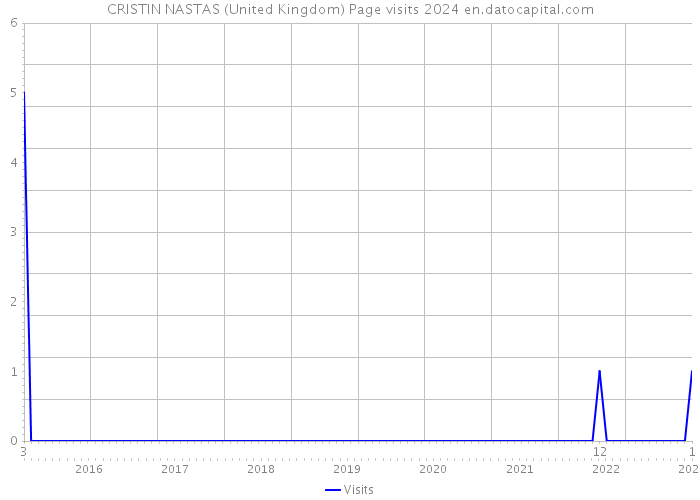 CRISTIN NASTAS (United Kingdom) Page visits 2024 