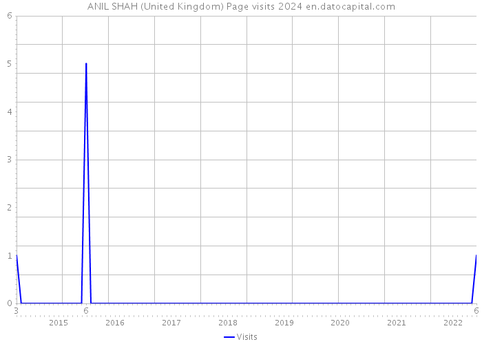 ANIL SHAH (United Kingdom) Page visits 2024 