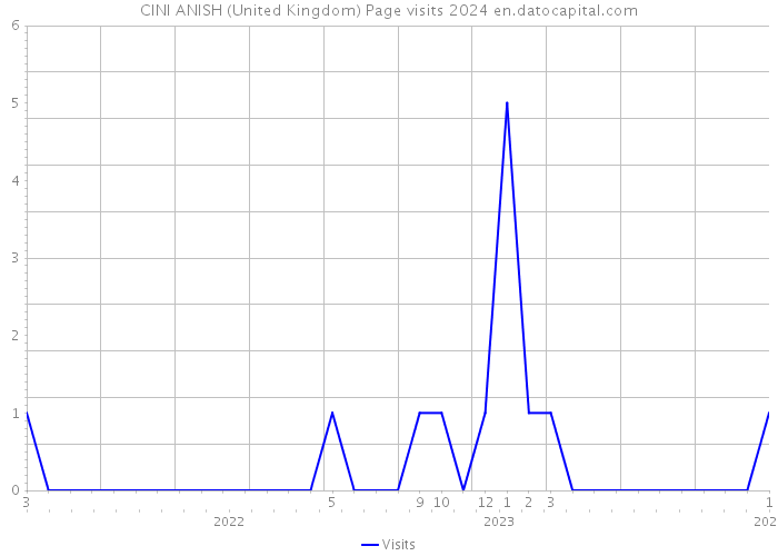 CINI ANISH (United Kingdom) Page visits 2024 
