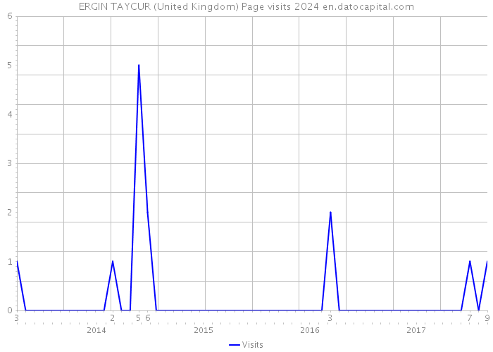 ERGIN TAYCUR (United Kingdom) Page visits 2024 