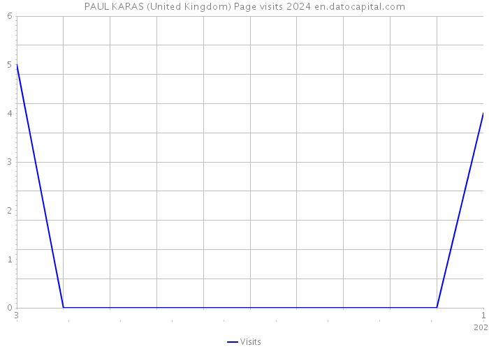 PAUL KARAS (United Kingdom) Page visits 2024 