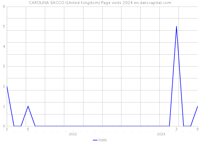 CAROLINA SACCO (United Kingdom) Page visits 2024 