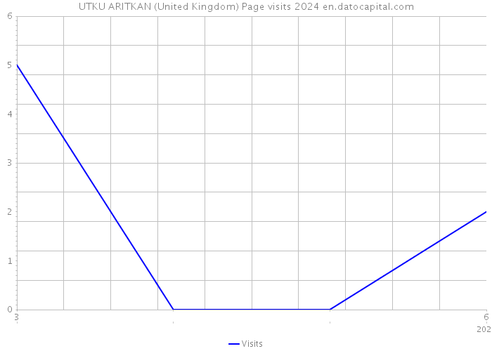 UTKU ARITKAN (United Kingdom) Page visits 2024 